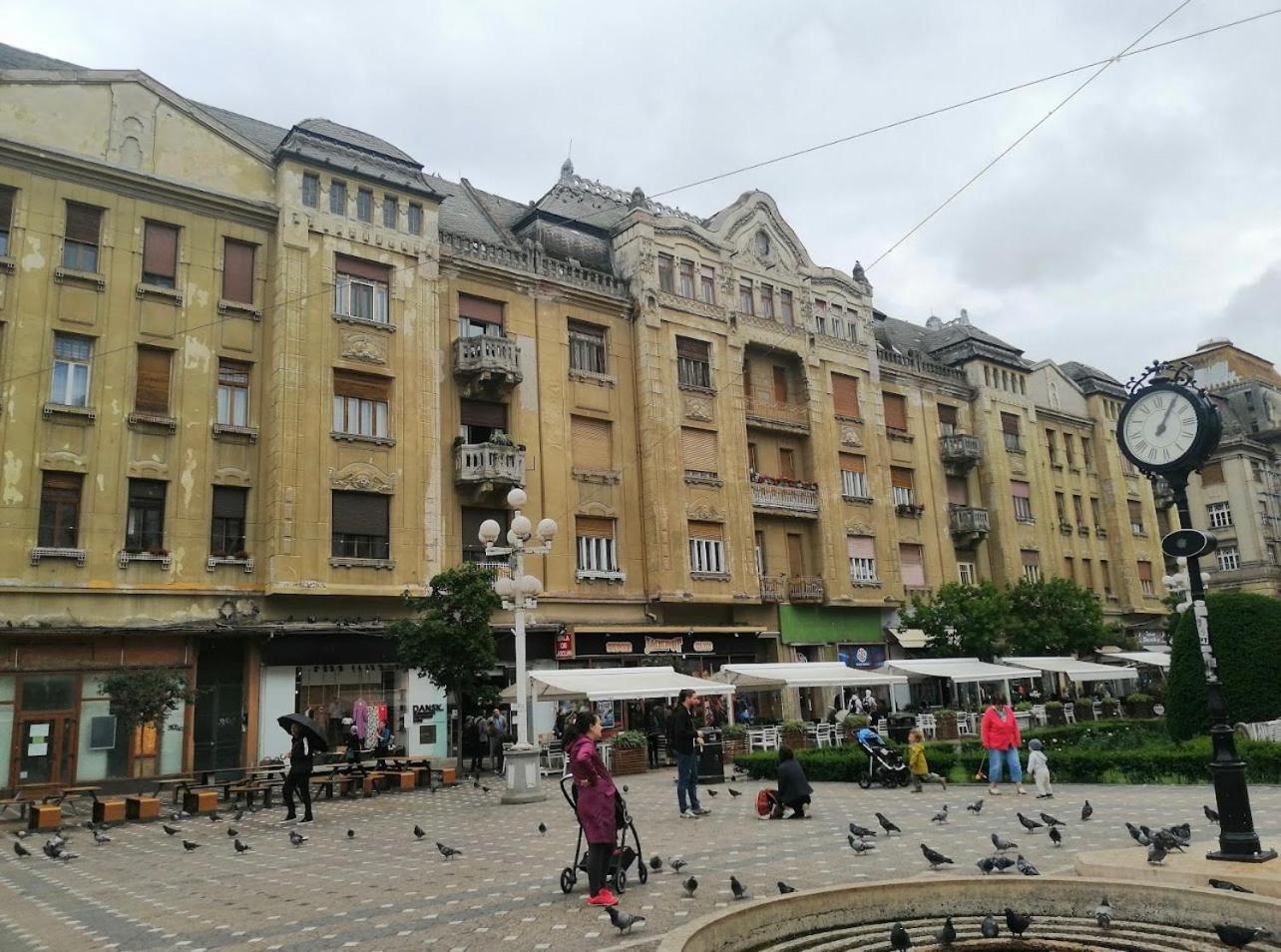 Premium * Timişoara